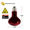 MCLANZOO Infrared Heat Lamp Bulbs 75W 2 Pack,Red Basking Spot Light Bulb Reptile Heating lamp for Bearded Dragon,Turtle,Snake,Leopard Gecko,Chicked with Digital Temperature Thermometer