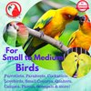 Bonka Bird Toys 1107 Christmas Jingle Bells (6" x 2") Christmas Bird Cage Toy, Parrotlet, Lories, Lovebirds, and Similar