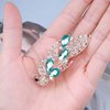 Allereyae Crystal Peacock Hair Clip Barrette Green Rhinestone Hair Barrette Clip Crystal Wedding Headpieces CZ Peacock Head Clip Headwear Bride Hair Accessories for Women