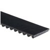 Gates T271 Premium Automotive Timing Belt