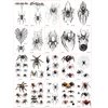 TopFunny Halloween Spider Tattoo, 20 Sheets Temporary Tattoo Sticker Decals Fake Tattoos for Kids Realistic Halloween Theme Prank Makeup Props Cosplay Party Favor Halloween Gifts Spider