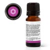 Plant Therapy Chakra 7 Higher Connection (Crown Chakra) Essential Oil Blend 10 mL (1/3 oz) 100% Pure, Undiluted, Therapeutic Grade