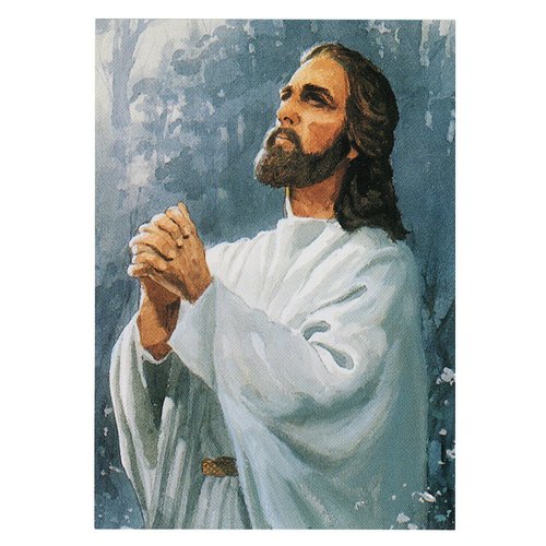 I Will Pray For You Jesus God Prayer Cards (Pkg of 50) Wallet Size