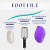 GABOX Nano Glass Pro Foot File - Callus Remover for Feet - Heel Foot Scrubber Dead Skin Exfoliator - Pedicure SPA Tool for Women & Men - Removedor de Callos en Los Pies - Crystal Purple