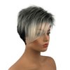 Wiginway 6'' Short Straight Wig for Women Ombre Gray Black Wigs Side Bangs Layered Punk Nightclub Party Wigs