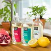 Better Life Dish Soap - Liquid Dishwashing Soap with Vitamin E and Aloe for Home & Kitchen Sink - No Gloves Required Kitchen Soap for Sensitive Skin - 22oz Lemon Mint