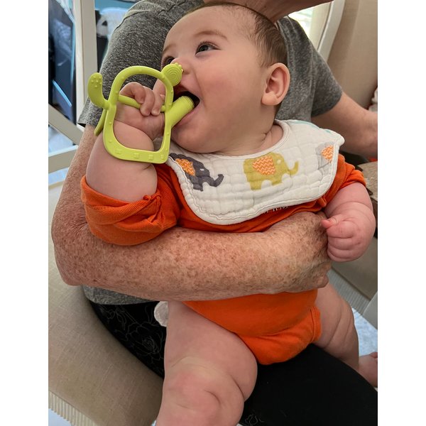 Micy n Birdies Silicone Baby Teether Glove Cactus Shape Design, Detachable Handles and Glove Cover,100% Food Grade Silicone (Green)