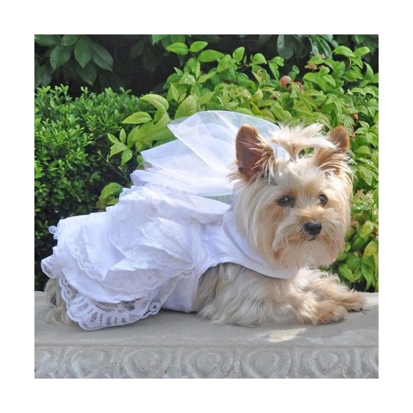 Dog Wedding Harness Dress Set (S)
