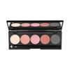 Pree Cosmetics 5 Color Eyeshadow Palette (Wild Berry)