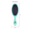 Cricket Splash Detangling Hair Brush for Wet, Dry Hair Detangler Shower Brush for All Hair Types, Minty Fresh