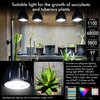 BRIM Grow Light Bulb for Plants, High PPFD 1100μmol/m²/s (1ft), Full Spectrum 24W (300W Equivalent) LED Grow Light Bulb, Grow Lights for Indoor Plants, E26 Grow Light Bulbs, 1-Pack (5800K, SOL 24W)