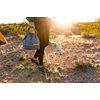 Ruffwear, Kibble Kaddie 42 Cup Dog Food Storage System for Camping, Travel, and Everyday, Slate Blue