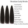Brazilian Curly Braids Crochet Twist Hair 30inches 3Packs Afro Kinky Curly Braiding Hair Extensions Deep Curly Crochet Hair Synthetic Water Wave Braid Hair(30Inch,4#)