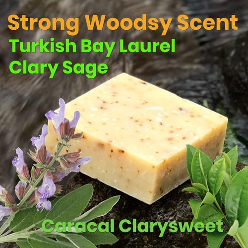 CARACAL Clarysweet Vegan Herbal Natural Soap Bar for Men Women (3-Pack) Strong Woodsy Bay Laurel, Clary Sage, Nettle, Olive, Castor Oils & Shea Butter