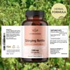 HERBAMAMA Stinging Nettle Root Capsules - Organic Stinging Nettle Root Powder Pills - Urtica Dioica Herbal Supplement - 100 Vegan Caps