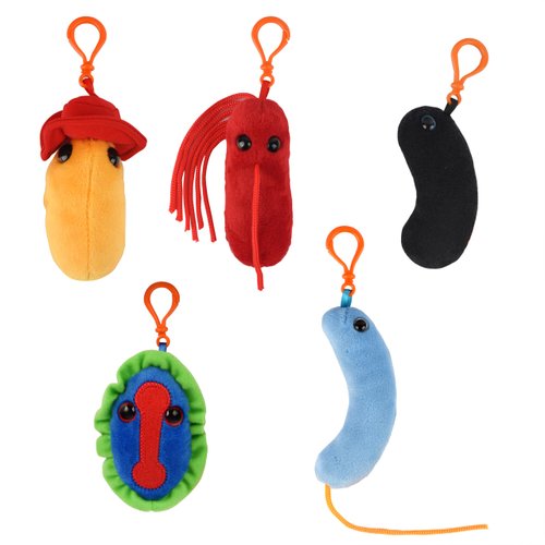GIANTmicrobes Plagues from History Gift Box, History Teacher Gifts, Gifts for History Lovers, Gifts for History Nerds, Gift for History Buff, Funny History Gifts, Historical Gifts, Historian Gifts