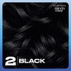 Clairol Nice'n Easy Permanent Hair Dye, 2 Black Hair Color, Pack of 1