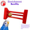 Bonka Bird Toys Rattle Cylinder Puzzle Foot Talon Parrot Cage Toy, African Grey, Amazon, Macaw, and Other Similar Breed Sizes. (2486 Red)