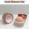 Oil Absorbing Volcanic Facial Roller, Mini Volcanic Oil Absorbing Roller Ball, Volcanic Stone Absorbing Stick, Reusable Stone Oil Resistant Face Roller Tool, for Skin Massage