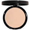 Dual Active Powder Foundation (Tender Beige)