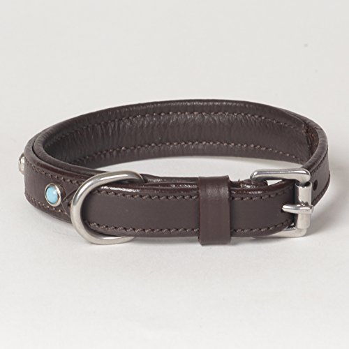 XX-Small Genuine Leather Padded Decorated Arizona Dog Collar; Fits Neck Size 8" - 10"