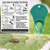 The Original Tick Key - Tick Detaching Device - Portable, Safe and Highly Effective Tick Detaching Tool (Sea Foam)