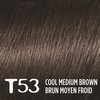 L'Oreal Paris Feria Multi-Faceted Shimmering Permanent Hair Color, T53 Moonlit Tortoise (Cool Medium Brown), Pack of 1, Hair Dye