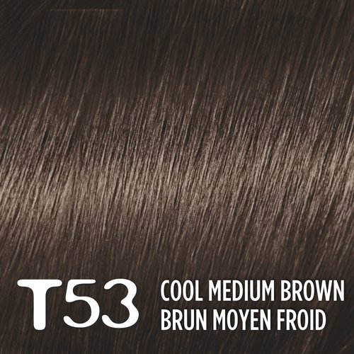 L'Oreal Paris Feria Multi-Faceted Shimmering Permanent Hair Color, T53 Moonlit Tortoise (Cool Medium Brown), Pack of 1, Hair Dye