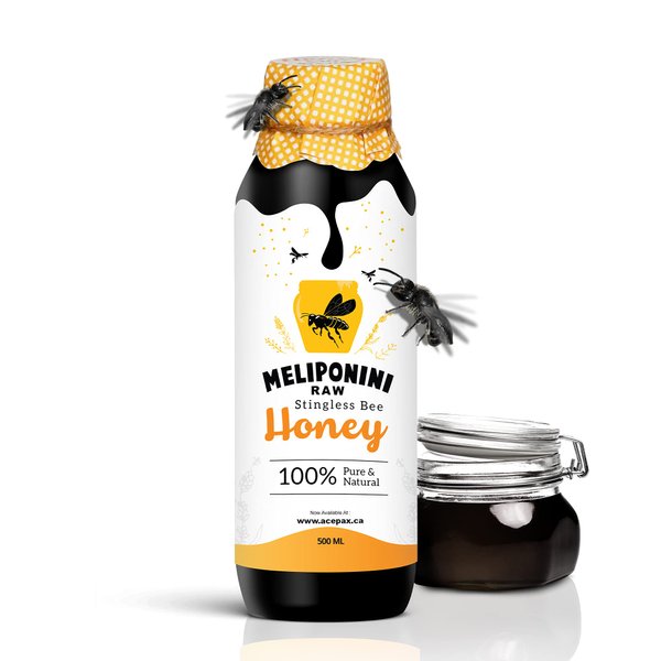 Meliponini - Stingless Bee Honey, Antioxidant-Rich Raw Honey, A Powerful Alternative to Manuka Honey, Tasty Sweet and Sour Pure Honey with Many Health Benefits, 500 ml