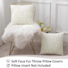 Pallene Soft Faux Fur Throw Pillow Covers 18x18 - Plush Short Wool Velvet Decorative Pillow Covers - Couch Sofa Pillow Covers for Living Room - with 3D Diamond Pattern - Set of 2 - Cream White