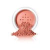 Loose Mineral Powder Blush in Pot by Pree Cosmetics - Compare to Bare Minerals (Perfect Mango)