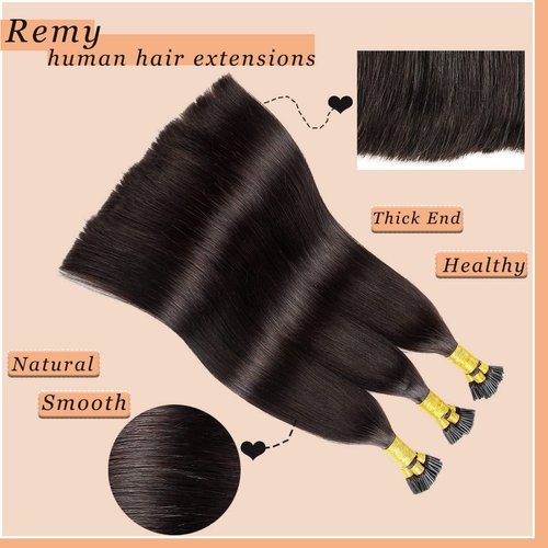 I Tip Human Hair Extensions,Real Hair I-Tip Extensions Keratin Bond Hair Extensions,100g 1g/Strand 20inches #2 Dark Brown Human Hair I Tip Extensions for Women