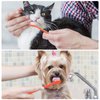 EASYA Double Headed Pet Dog Toothbrush for Small Dogs/Soft Bristles Puppy Long Handle Tooth Brush Dogs Teeth Cleaning/Bulk Toothbrushes Dental & Oral Care… (MIXED10)
