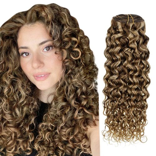 Hetto Curly Clip in Hair Extensions Human Hair Natural Wavy Clip in Human Hair Extensions #P4/27 Brown Highlight Blonde Curly Hair Extensions Clip in Human Hair 14 Inch 7Pcs 105g +20g