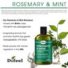 Difeel Rosemary Mint Strengthening Shampoo with Biotin 12 oz. - Made with Natural Rosemary Oil for Hair Growth, Sulfate Free Shampoo