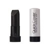 Kiss Quick cover Gray Hair Touch Up Wet Stick Type (2 Pack - Black)