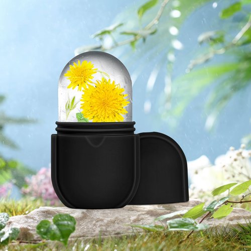 Ice Roller for Face and Eye, Ice Face Roller,Facial Beauty Ice Roller Skin Care Tools, Ice Facial Cube, Gua Sha Face Massage, Silicone Ice Mold for Face Beauty(Black)