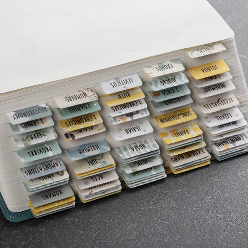 DiverseBee Laminated Bible Tabs (Large Print, Easy to Read), Bible Journaling Book Tabs, Christian Gift, 66 Bible Tabs Old and New Testament, Includes 11 Blank Tabs - Adventure Theme