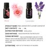 Rose and Lavender Essential Oil, Pure Organic Rose Lavender Oil for Diffuser, Massage, Soap, Aromatherapy, Bath, Skin Care - 2 x 10ml (Rose+Lavender)