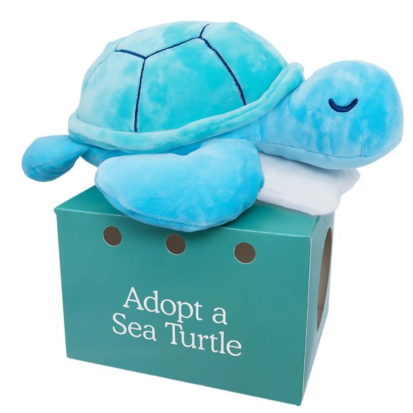 Follow Your Legend Sam The Sea Turtle Plush with Pillow Accessory - 10" Adopt Me Plushies, Stuffed Turtle, Sea Turtle Stuffed Animal, Small Turtle Plush