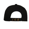 ICE Baseball Cap Immigration & Customs Enforcement Hat