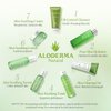 Aloderma Aloe Clearing Gel for Clear Complexion with 90% Organic AloeVera - Moisturizing, Oil Controlling Facial Lotion with Allantoin, Wintergreen Extract - Soothing, Calming Aloe Gel, 6btl x 2.8oz