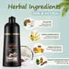 Coffee Hair Dye Shampoo 3 in 1 Coconut Hair Color Shampoo for Men Women Gray Hair Coverage - Herbal Brown Shampoo Colors, Long Lasting Brown Hair Dye 16.9 Fl Oz (Coffee)