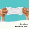 Because Premium Incontinence Pads for Women - Discreet, Individually Wrapped Liners - Maximum Absorbency, 20 Count (Pack of 1)