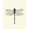 Bee Dragonfly Butterfly Wall Art Prints set of 3 Prints 8x10 - Unframed - Beautiful Black and White Illustration Ivory Natural Background Home Room Decor