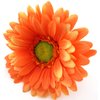 4 inch Variegated Orange Gerbera Daisy Silk Flower Hair Clip