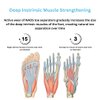 Toe Separators, Restore Feet to Their Original Shape, Bunion Pain, Foot Intrinsic Muscle Strengthening, For Men and Women, Toe Stretcher, Big Toe Correctors, Foot Health, NAOS Therapeutics, Blue