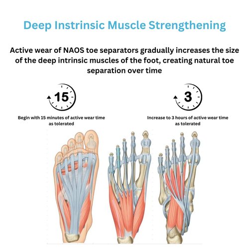Toe Separators, Restore Feet to Their Original Shape, Bunion Pain, Foot Intrinsic Muscle Strengthening, For Men and Women, Toe Stretcher, Big Toe Correctors, Foot Health, NAOS Therapeutics, Blue