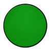 Graftobian Makeup ProPaint Face & Body Paint - Mantis Green 30ml - Halloween Makeup - Costume Makeup for Adults - Body Paints for Adults - Face Paint Makeup - Skin Paint - Makeup Paint