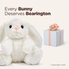 Bearington Lil’ Whisker The Bunny Plush, 6 Inch Easter Bunny Stuffed Animal, Easter Plush Toys